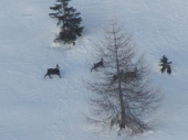 DA SAN SIMONE ALLA CRESTA DI CIMA DI LEMMA sabato 26 febbraio 2011 - FOTOGALLERY